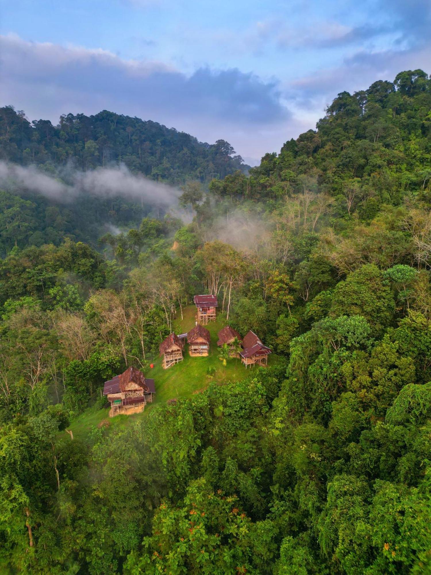 Orangutantreksumatra & Lovely Jungle Lodge Only Book If You Are Treking With Us Bukit Lawang Exterior foto