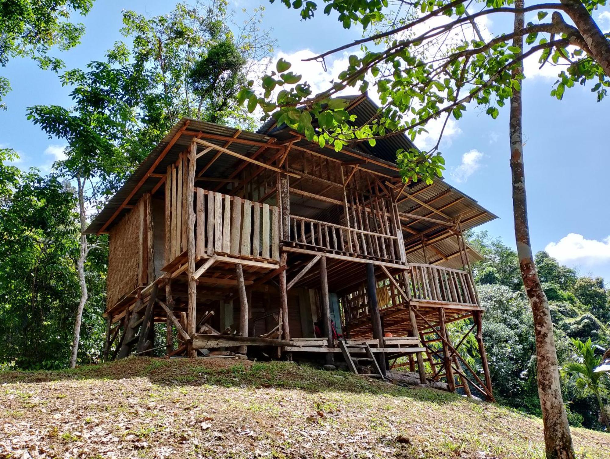 Orangutantreksumatra & Lovely Jungle Lodge Only Book If You Are Treking With Us Bukit Lawang Exterior foto